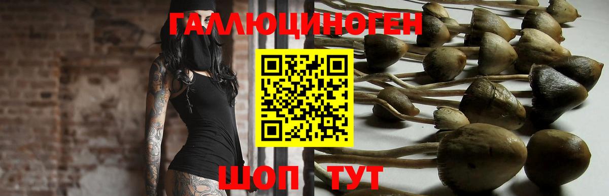 Галлюциногенные грибы Magic Shrooms  Вход с VPN  Салават 